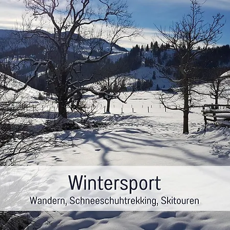 Inntal - Ruhig Schlafen, Zentral Starten & Wandern Bis Zum Gipfelglueck *