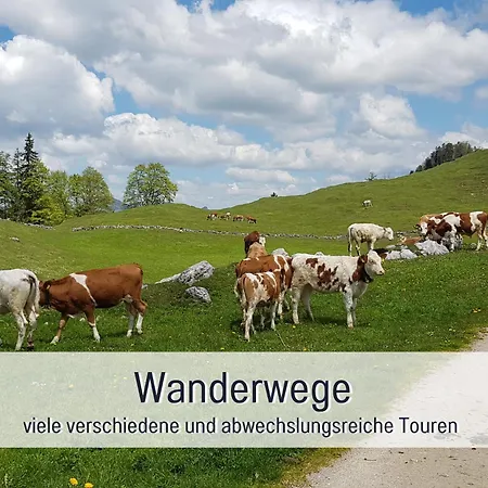 Inntal - Ruhig Schlafen, Zentral Starten & Wandern Bis Zum Gipfelglueck Apartment *